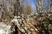 16 Sentiero-mulattiera con fondo gradinato e muri a secco in pietra